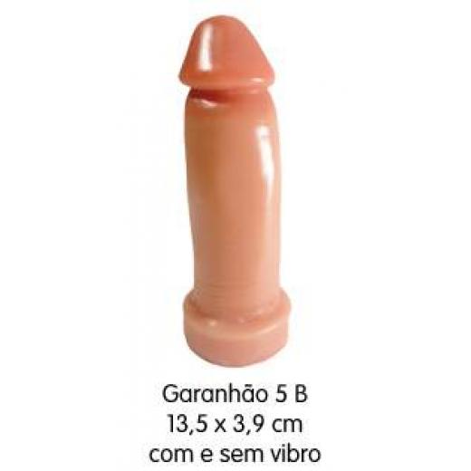 Garanhão 5 B