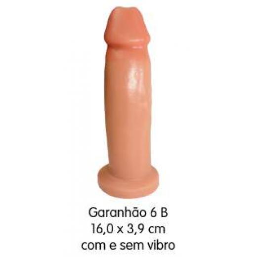 Garanhão 6 B